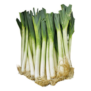 大蔥品類